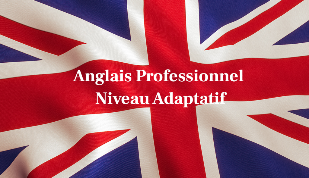 Anglais Professionnel Niveau Adaptatif